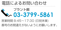 電話によるお問い合わせ：03-3799-5861